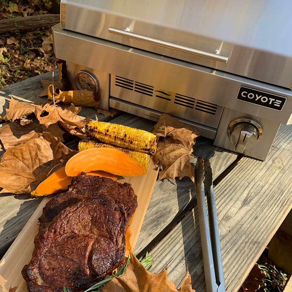 Coyote Portable Grill C1PORTLP