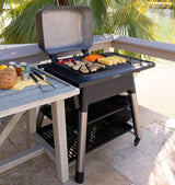 Everdure by Heston Blumenthal FORCE 2-Burner Freestanding Propane Grill E2G3B