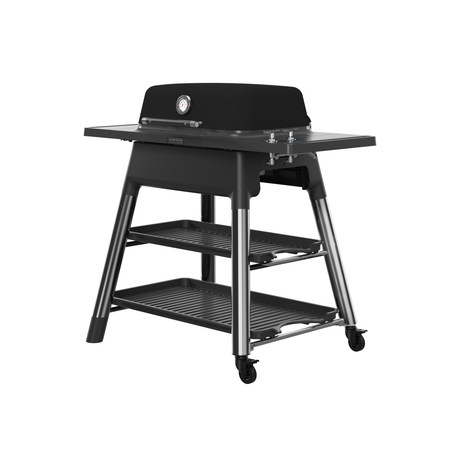 Everdure by Heston Blumenthal FORCE 2-Burner Freestanding Propane Grill E2G3B