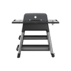 Everdure by Heston Blumenthal FORCE 2-Burner Freestanding Propane Grill E2G3G